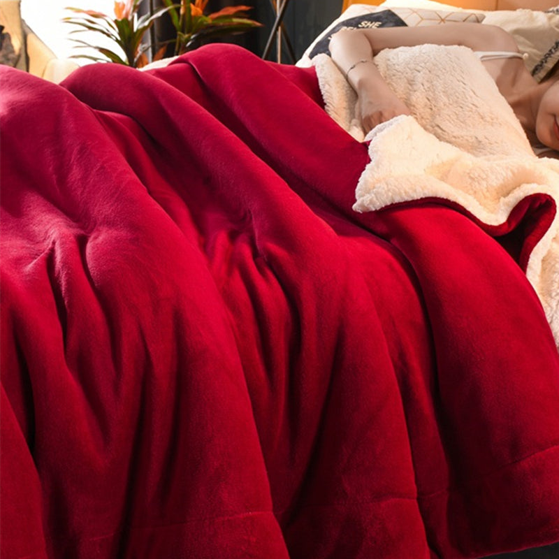 Sherpa Fleece Blanket,Warm Microfiber Throws